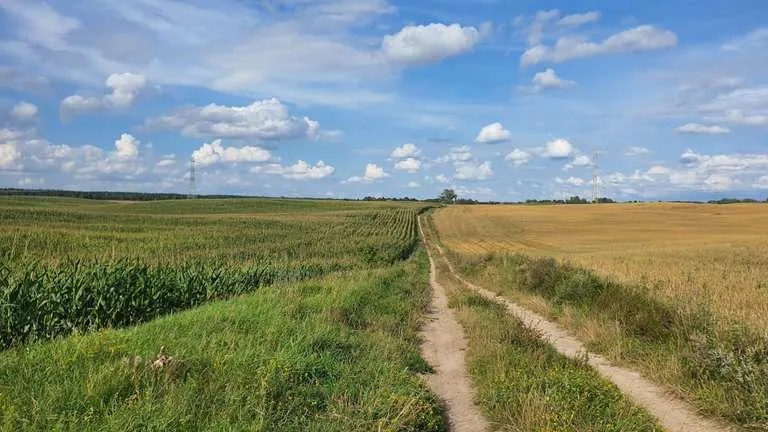Szczytno atrakcje – odkryj najciekawsze miejsca i aktywności w mieście
