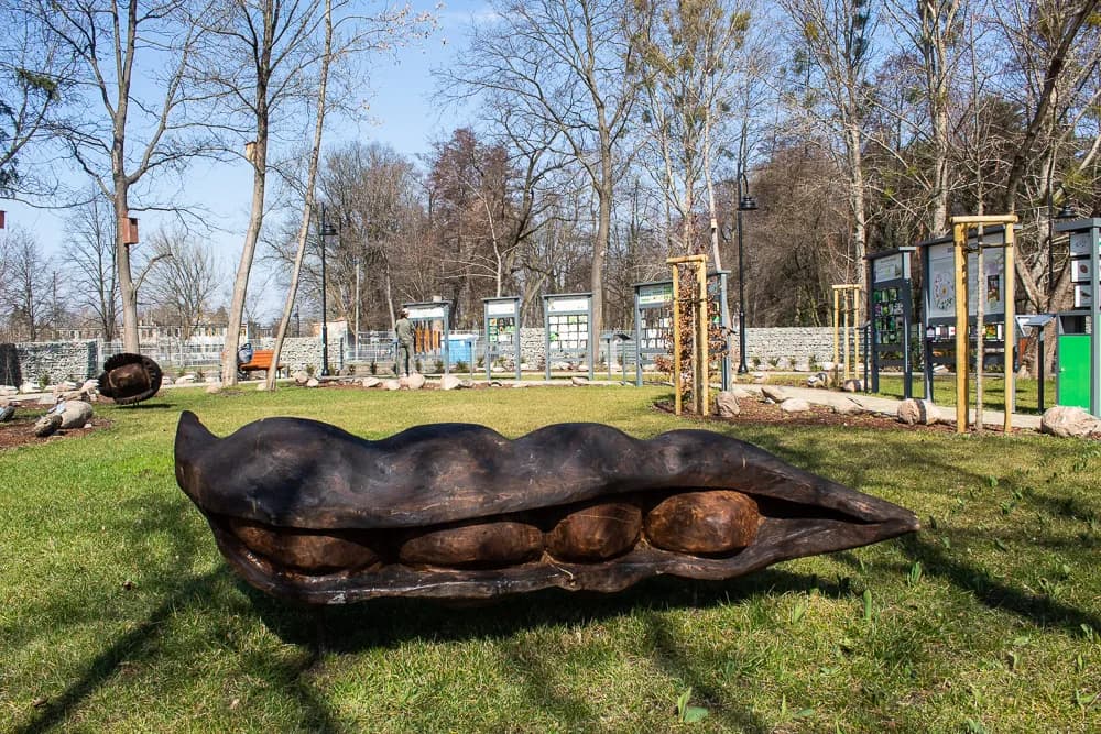Najlepsze atrakcje w Brwinowie, które zachwycą całą rodzinę