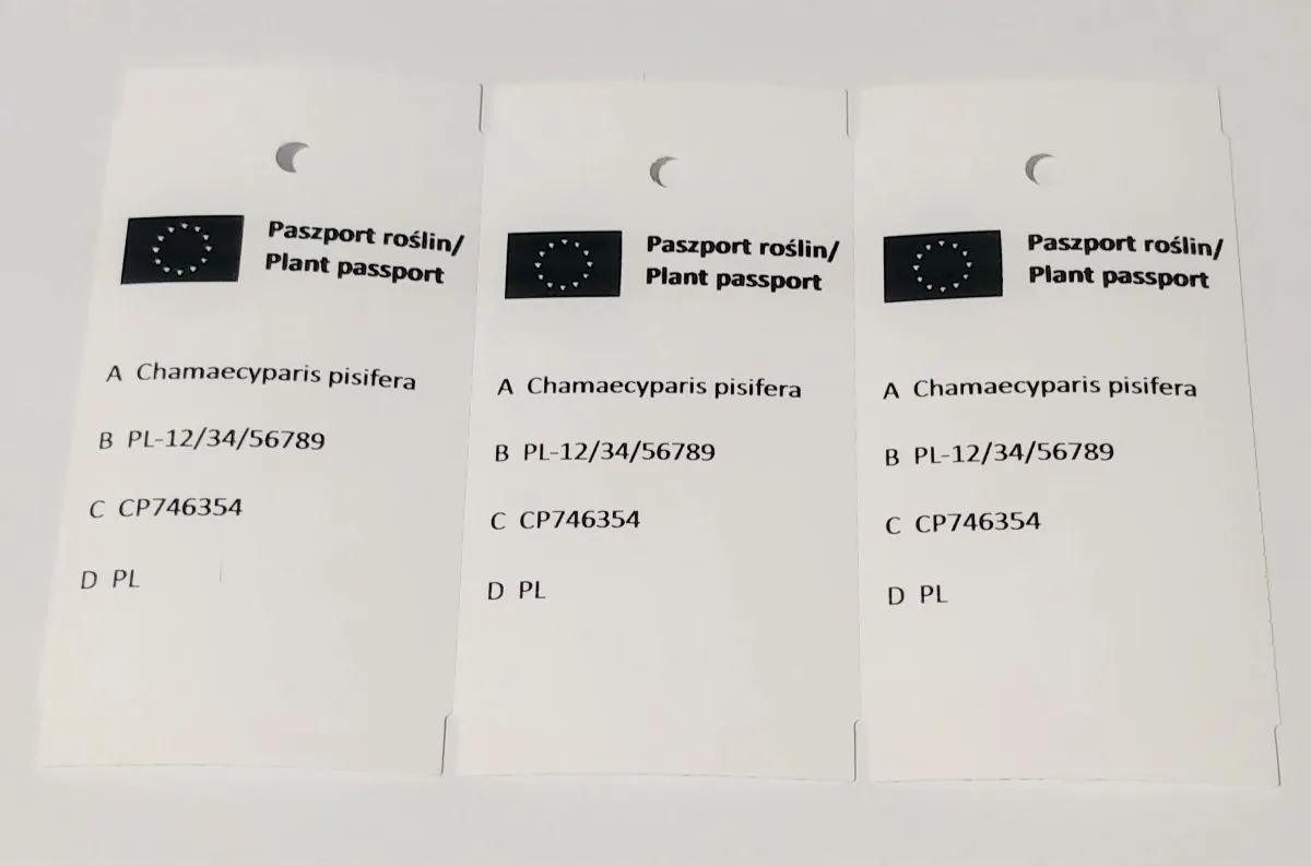 Ile kosztuje paszport roślin? Zaskakujące opłaty i wyjątki