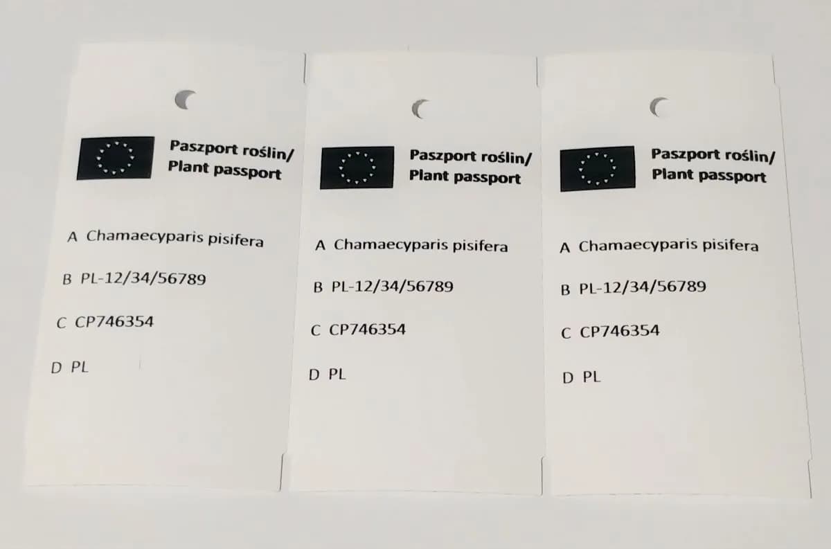 Ile kosztuje paszport roślin? Zaskakujące opłaty i wyjątki